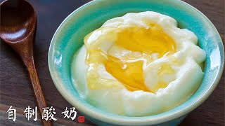 自制酸奶 只需两种原料 不用酸奶机 酸奶放大器的概念 Extra Creamy Yogurt