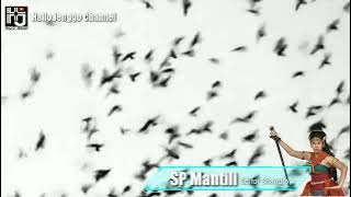 Suara panggil walet terbaru 2022 Terbukti