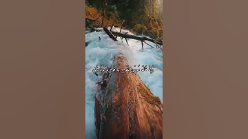 واتس اب قران كريم القارئ شريف مصطفى (سوره الصف)