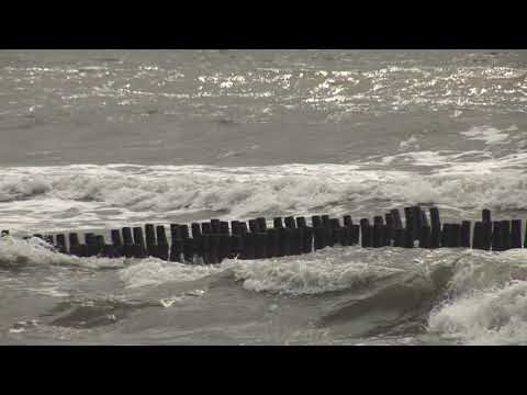 ამინდის პროგნოზი ფოთში 01 03 21