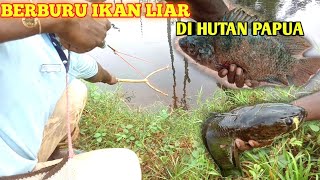 SKIL DI ATAS NORMAL ‼️ BERBURU IKAN GABUS & NILA LIAR DI HUTAN PAPUA - ketapel ikan | slingshot