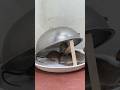Best home mouse trap/creative mouse trap #rat #mousetrap #rattrap