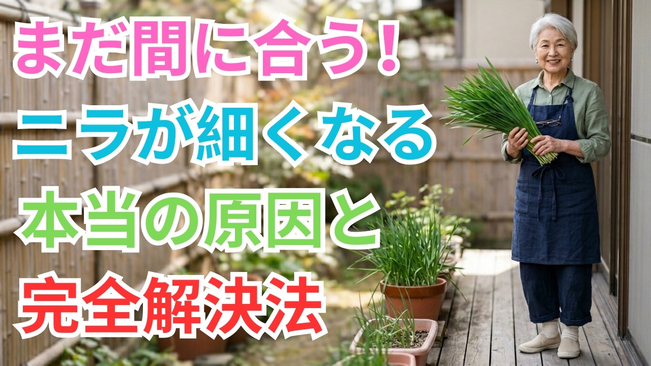 ニラ栽培で9割の人が2年目に失敗する理由〜たった2つの技術を知るだけで、3年後も5年後も収穫できる衝撃の事実【ニラ栽培】【家庭菜園2年目】【ベランダ野菜】