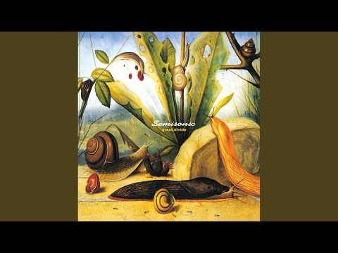 Putar I'll Feel For You - Semisonic