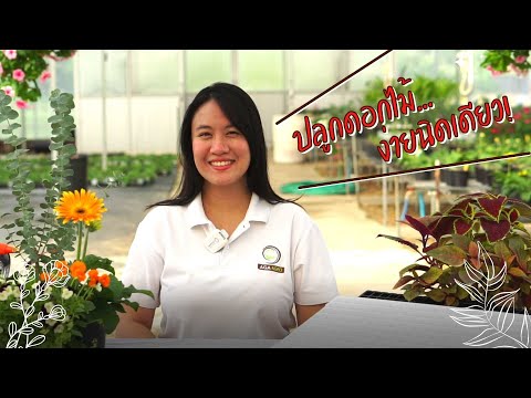 The Easy Garden | ปลูกดอกไม้...ง่ายนิดเดียว "เพาะเมล็ดอย่างไรให้รอด"  | EP.1