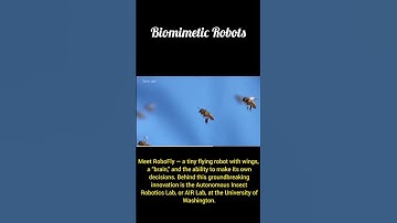 RoboFly: The Insect-Inspired Robot That Thinks for Itself