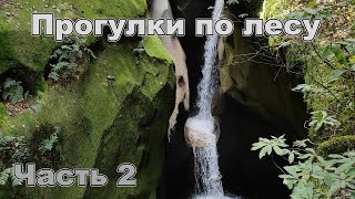 Прогулки по лесу, 2 часть заключительная путешествие на машине, ищем водопад и грибы