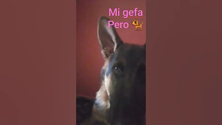 6 de agosto de 2022