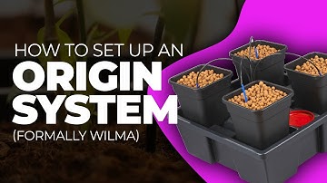 How to Set Up an Origin System (In Under 2 Minutes)