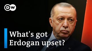 Turkey: Erdogan moves to expel ambassadors from 10 countries | DW News
