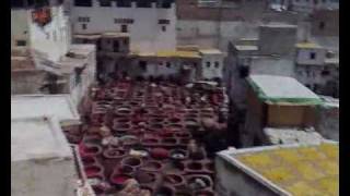 Batman & K3 Invade Morocco.avi