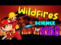 Understanding Wildfires