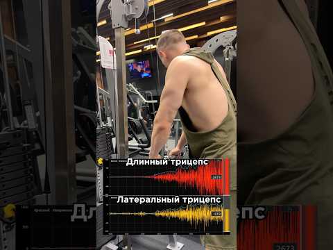 Качай трицепс грамотно.За персональным планом обращаться в телеграм:@TrainerSmirnoVV