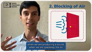 How to Teach English: Pronunciation 101—Mastering Articulation, Air Blocking, and Voicing | TESOL
