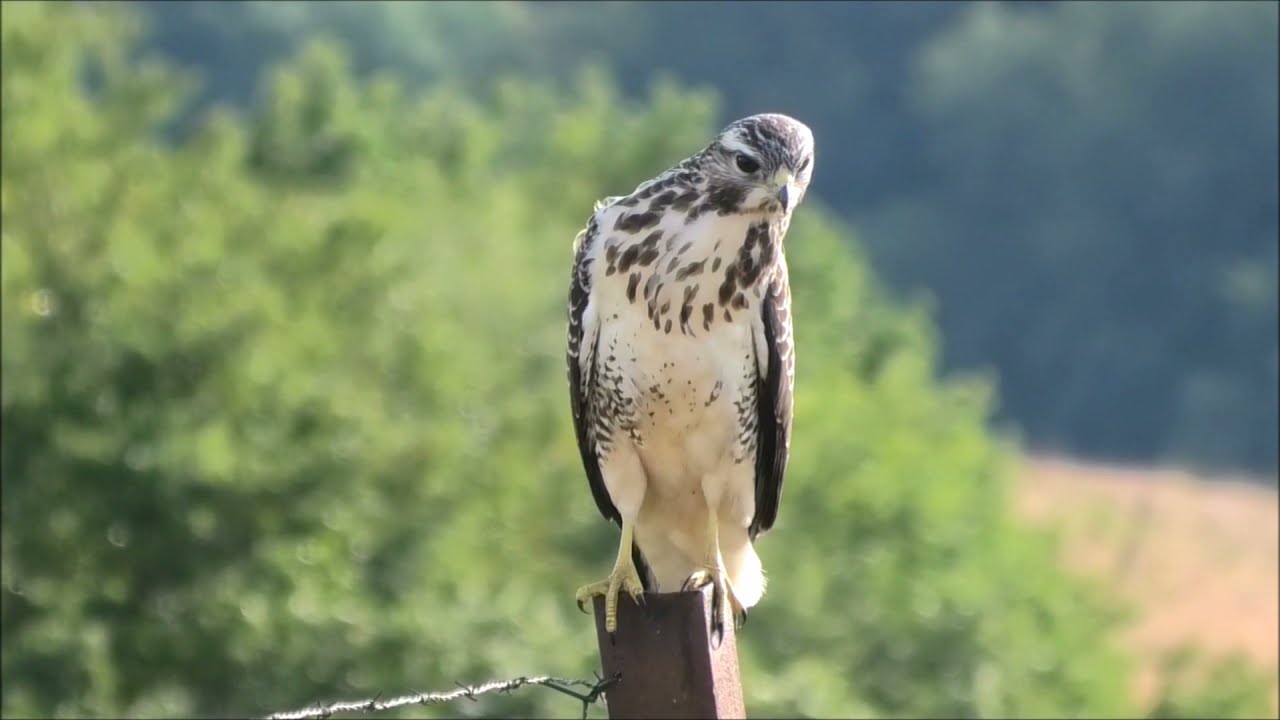 Ein Spaziergang in der wunderschönen Landschaft rund um Pluwig,Ollmuth und Geizenburg