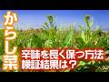 (*'▽')からし菜漬物🥬 辛味を逃さない漬け方検証‼他漬物も該当!?