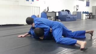 20150622 Gösser Jiu-Jitsu(7)