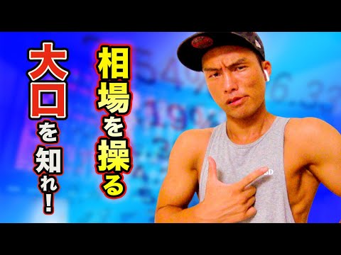 【FX初心者がまず見るべき動画】相場を動かしている大口とは？