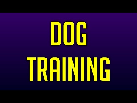 petco hours Dog Trainer - How To Train Your Dog Starting NOW!
