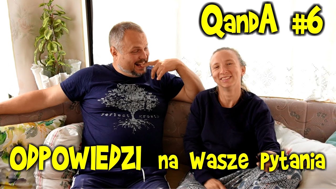 Sprawdzian 2 Wojna światowa Pytania I Odpowiedzi PYTANIA i ODPOWIEDZI na nowym siedlisku, cz. 4 /4 - co za tematy! - Q