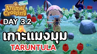 Animal Crossing : Day 3.2 เกาะแมงมุม TARANTULA