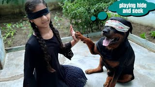 jerry and anshu playing Hide and Seek||funny dog videos||cute dog.