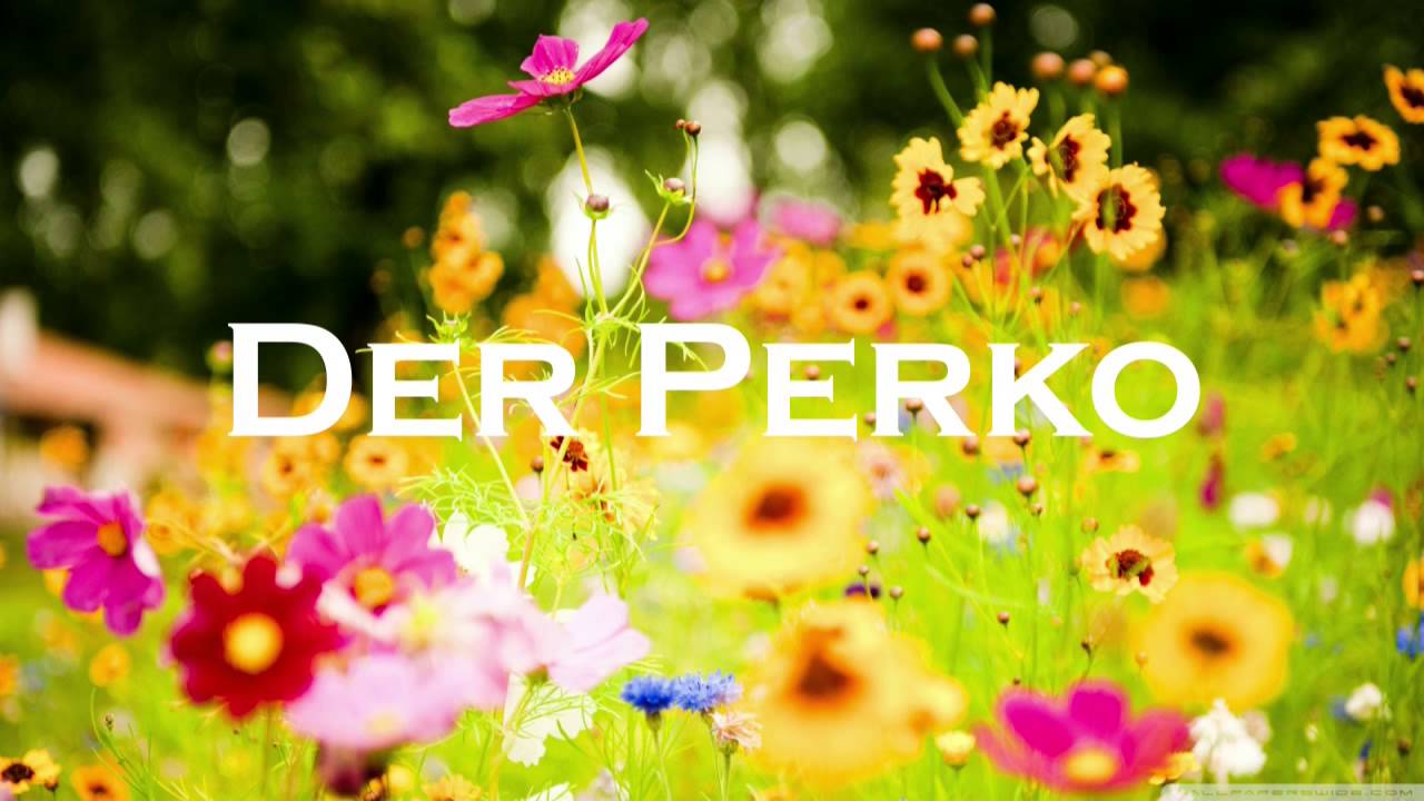 Melokind - Glücksmelodie