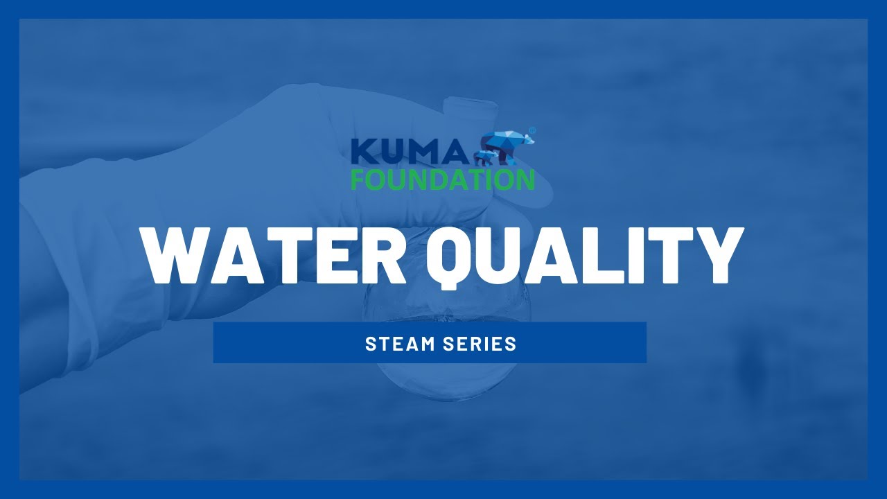 Water Quality YouTube
