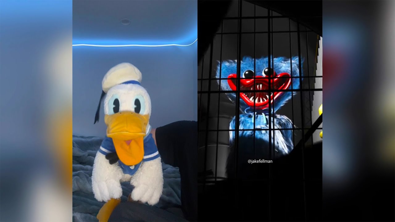 donald-ducc-reacts-to-poppy-playtime-tiktoks-6-youtube