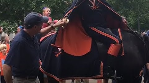 A Tale Of Two Cities Charlottesville Virginia And The Truth Of Real Time Healing