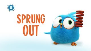 Angry Birds Blues | Sprung Out - S1 Ep11