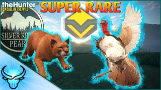 AT THE SAME LAKE?! Super Rare Light Brown Diamond Turkey & Diamond Mountain Lion | Call of the Wild