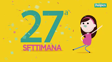 A cosa corrisponde la 27 settimana?