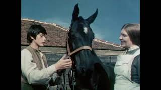 Black Beauty - 45.Albert als Turnierreiter (06.11.1976)