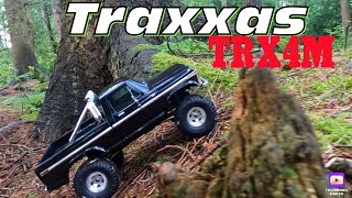 Traxxas TRX4M HI-Trail Ford F-150 1/18 RC Crawler
