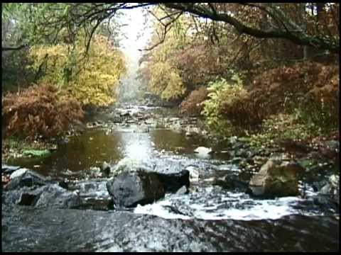 "Paul" by William Carlos Williams