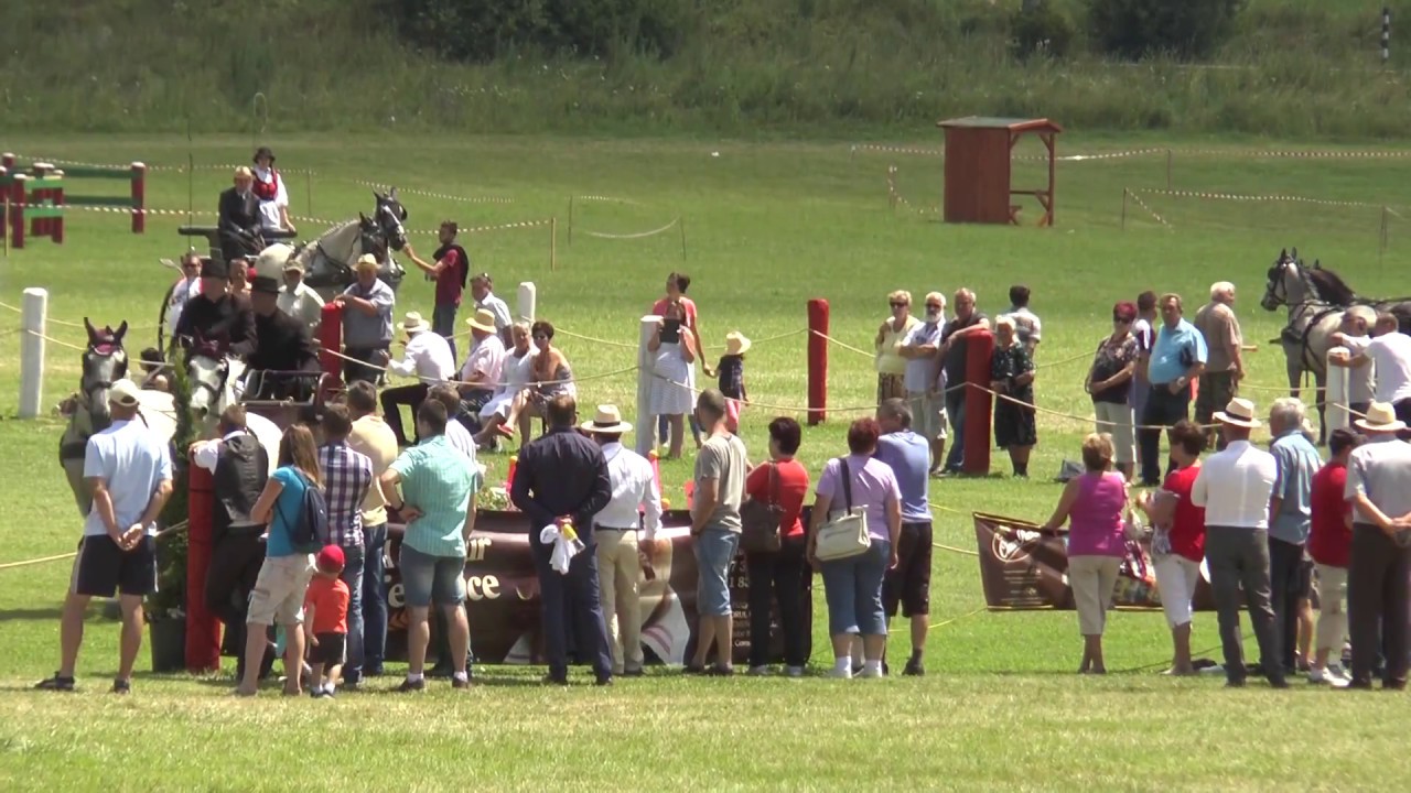 BODOK 2017 NAPOK DEMO