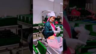Pekerjaan Saya Sebagai Tki Di Malaysia