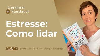 Entenda os 3 tipos de estresse | Aula 14 Cérebro Saudável
