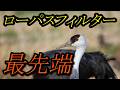 最先端、ローパスフィルター