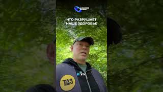 Что разрушает наше здоровье