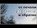 ВСЕМ СПАСИБО-ВСЕ СВОБОДНЫ/Дело было вечером/29 апреля 2020