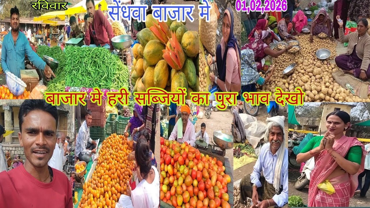 बाजार मे हरी सब्जियों का पुरा भाव सेंधवा सब्जी बाजार में देखो 01,02,2026