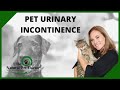 Pet Urinary Incontinence and Natural Treatment Options with The Natural Pet Doctor