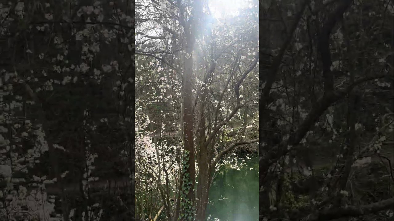 ПРЕКРАСНЫЙ ФЕВРАЛЬСКИЙ ДЕНЬ!