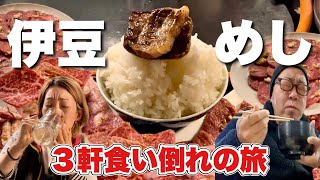 焼肉ホルモンでキメる伊豆旅行【３軒食い倒れ】精肉店直営『ほのり』孤独のグルメ『わさび丼かどや』猪鍋といちご三昧『七滝茶屋』ざるそば/河津七滝/細野高原/飯テロ/東伊豆伊東