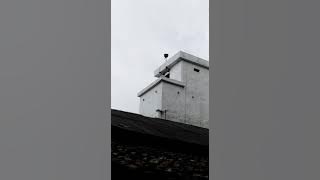 super kis kis walet di hexagonal sp ws by liandi test respon walet