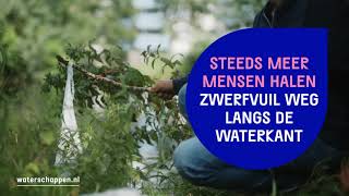 Audiobeschrijving Voor Digitale Toegankelijkheid. Zwerfvuil Langs De Waterkant.