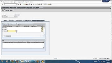 SAP 1 Automatic Payment Program