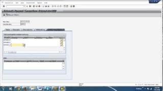 SAP 1 Automatic Payment Program
